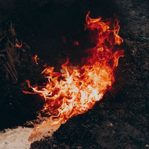 Dynamic shot of a powerful movement.